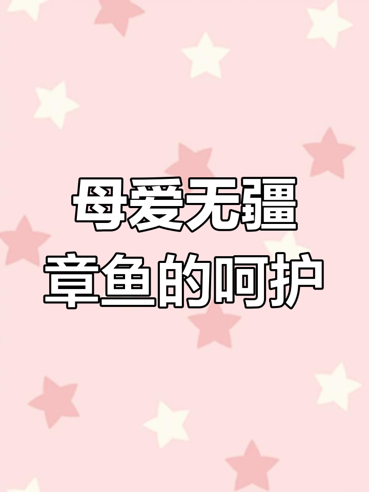 章鱼妈妈用尽全力守护宝宝,六个月的辛苦换来新生