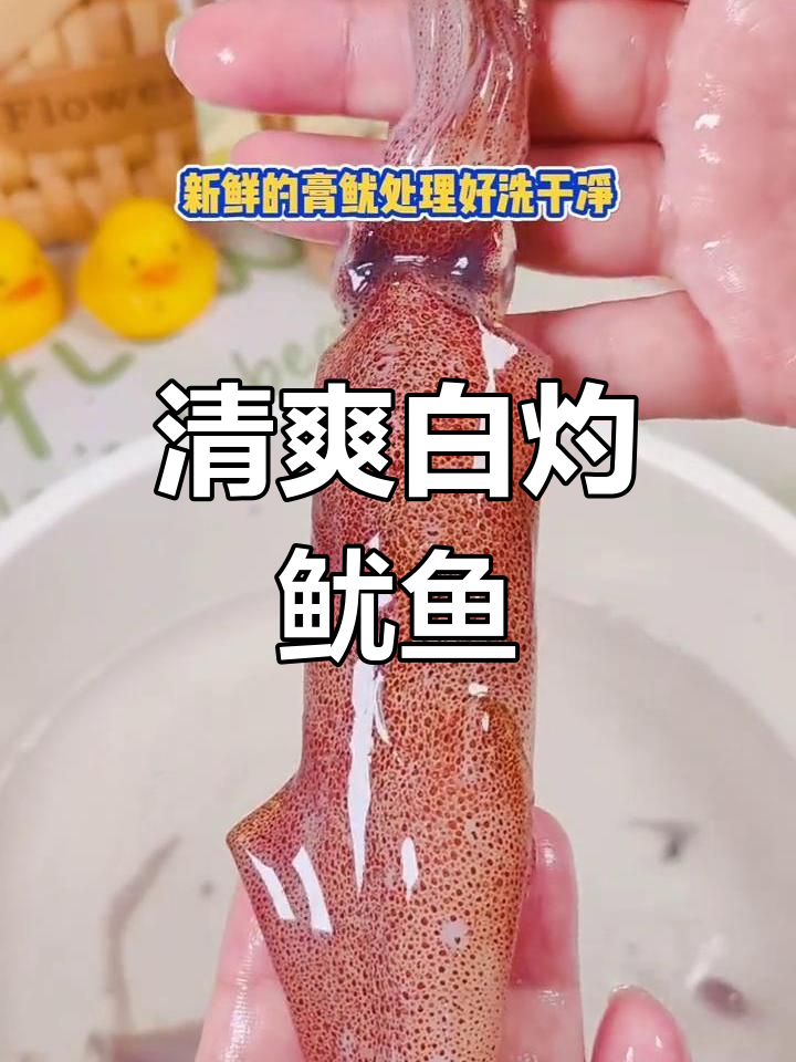 白灼鱿鱼,鲜美原味与酱汁的完美搭配