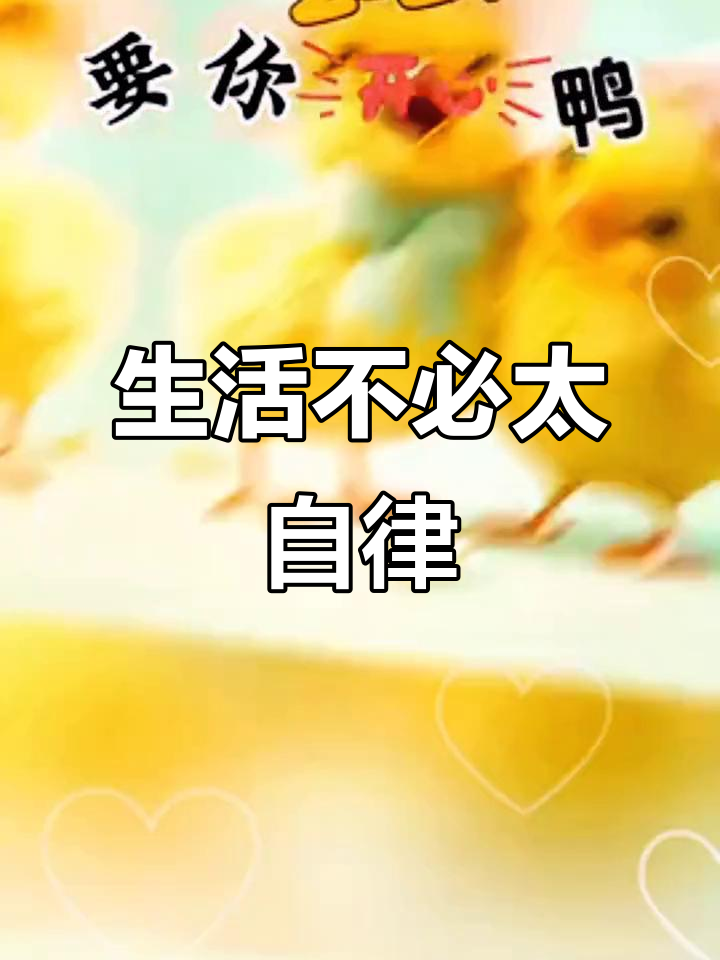 懒散生活也有智慧,学会放下烦恼享受悠闲