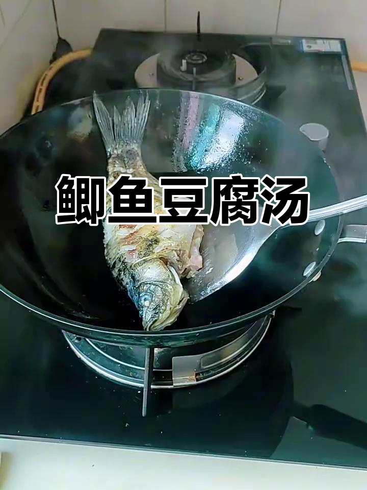 鲫鱼豆腐汤,鲜美又简单!教你做奶白浓汤