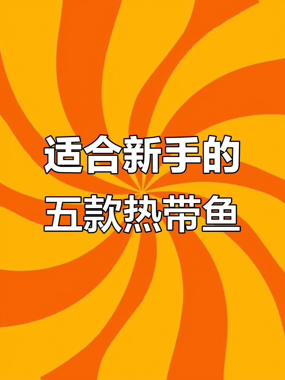 新手必养！五种超耐养的热带观赏鱼推荐