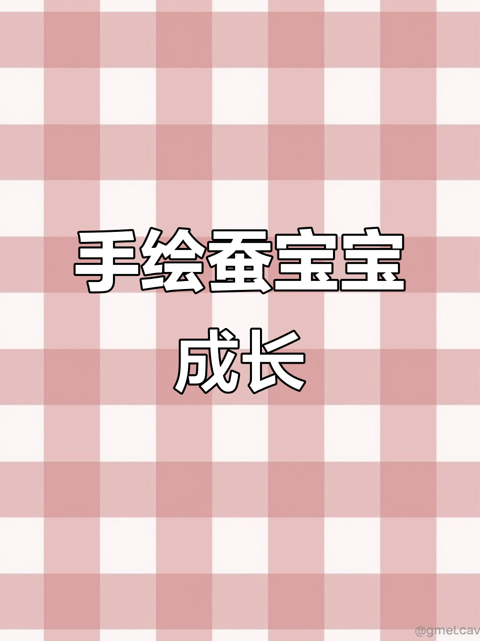 蚕宝宝成长记:手抄报绘制全过程