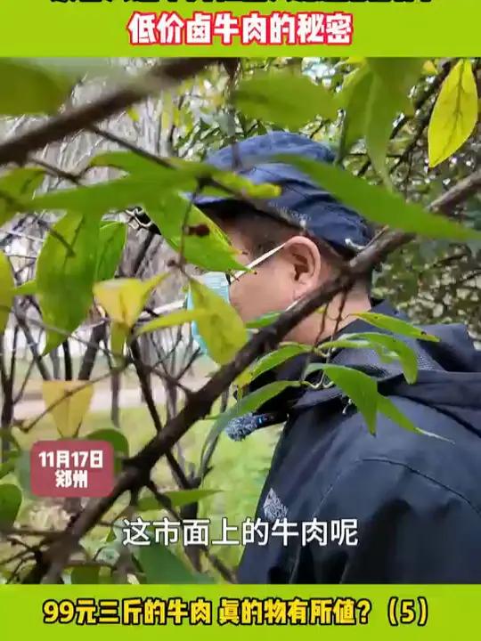 99元三斤的牛肉,真的物有所值?(5)低价牛肉的秘密 卤牛肉 科技狠活 食品安全