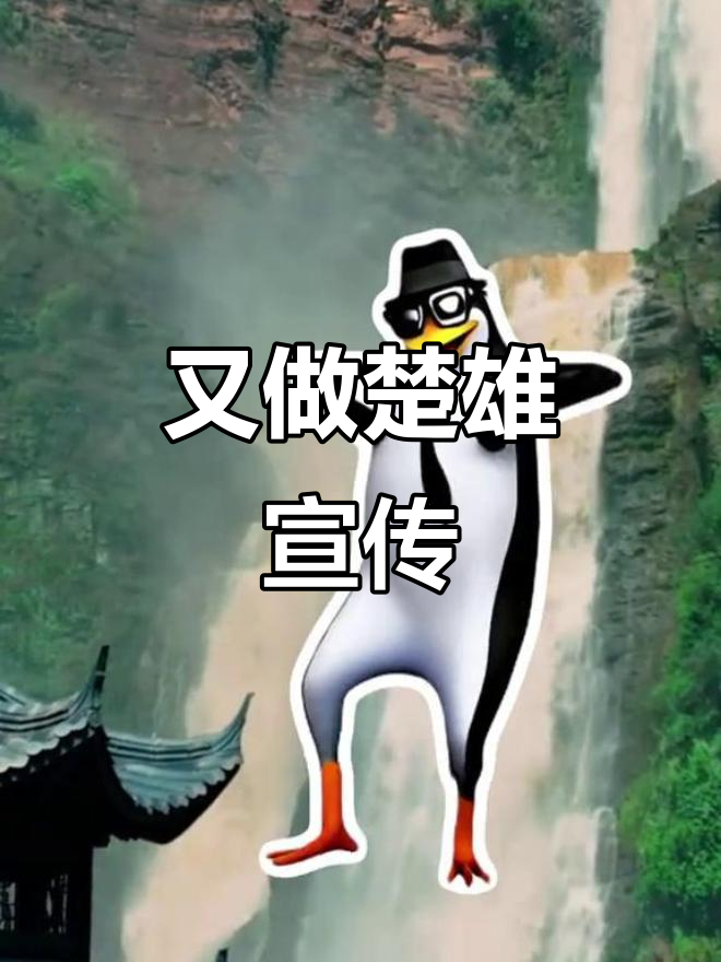 领导又让我宣传楚雄,这次我做的怎么样?