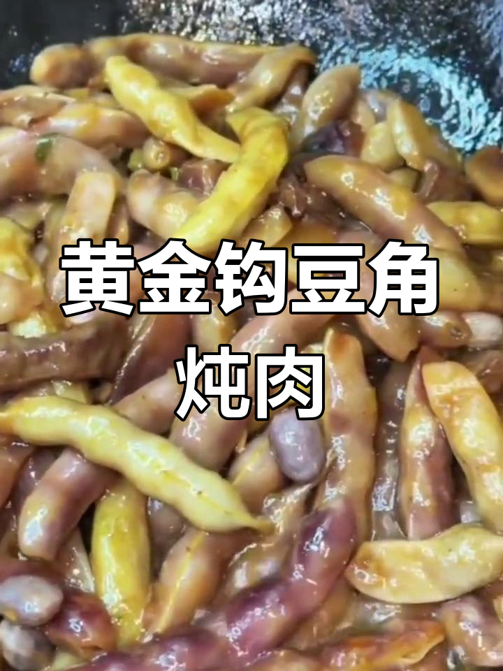 黄金钩豆角炖猪肉,家常味十足