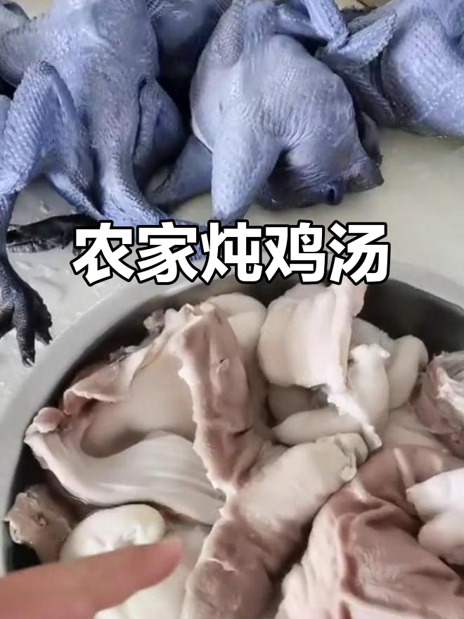 农村真实生活日常:用新鲜食材煲汤,滋补养生全记录