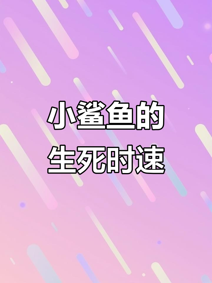 鲨鱼:从出生到捕食,残酷的生存法则