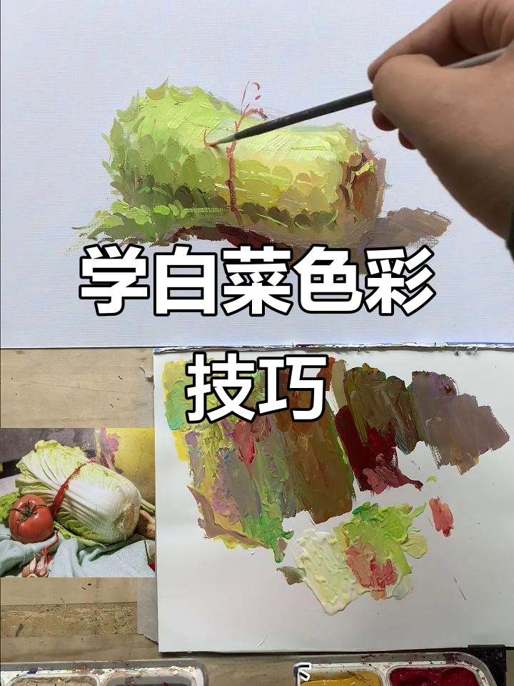 美术生必看!白菜色彩静物画法全解析