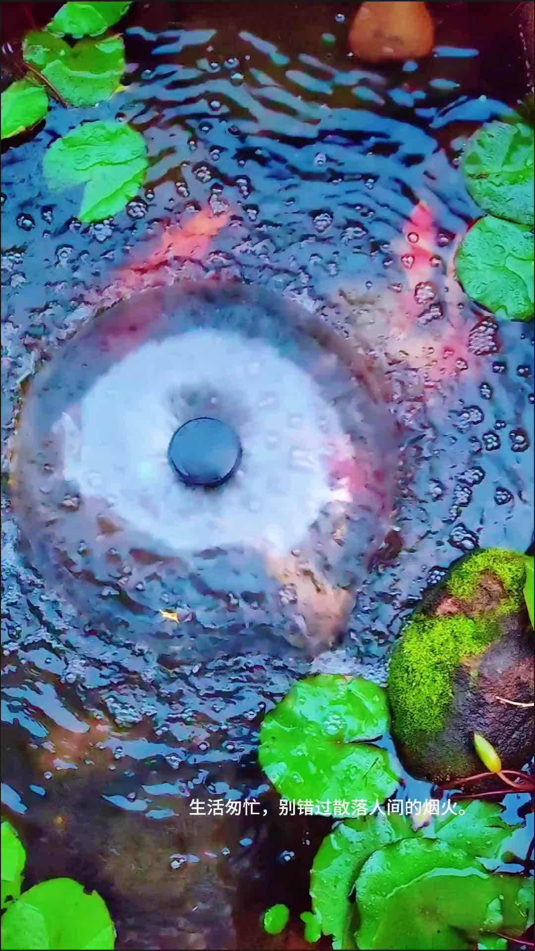 做生活的有心人,才会与生活的美好不期而遇 景观设计 别墅花园设计 庭院施工 还记得每次选带