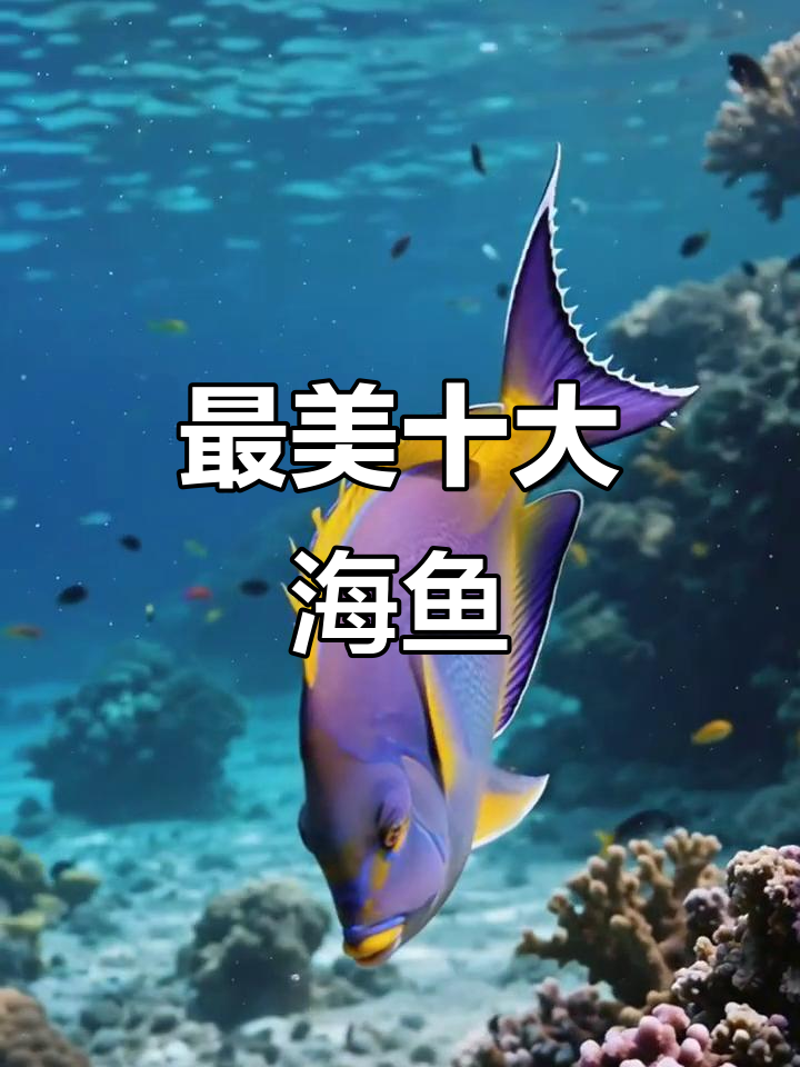 十大最美丽海鱼，惊艳海洋颜值担当