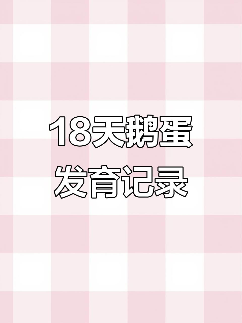 18天鹅蛋孵化过程，血丝清晰可见