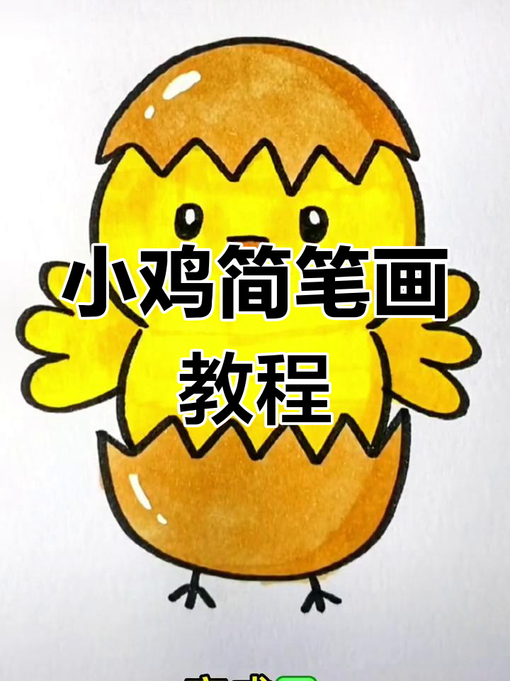 轻松画出破壳小鸡