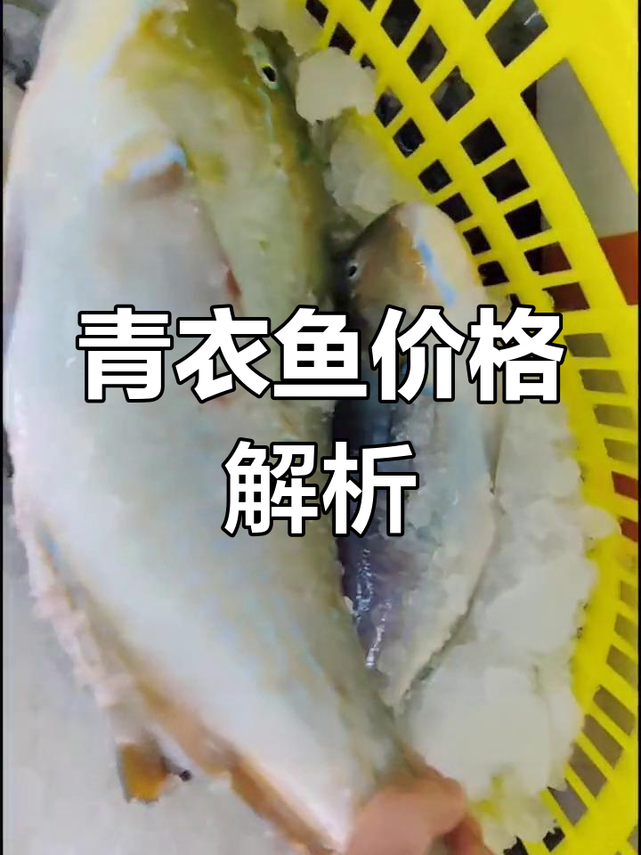 青衣鱼与鹦哥鱼的差异揭秘