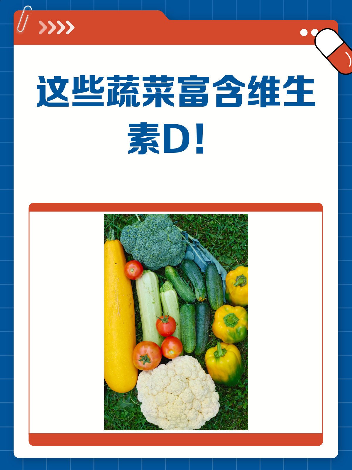 揭秘！这些蔬菜里竟然藏着维生素D的宝藏！