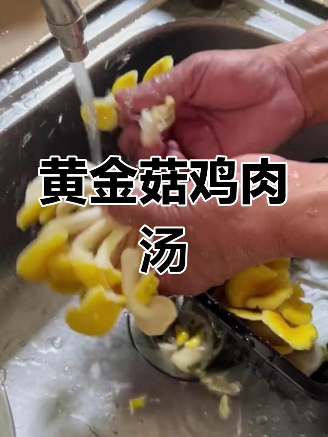 黄金菇炖小鸡,营养美味