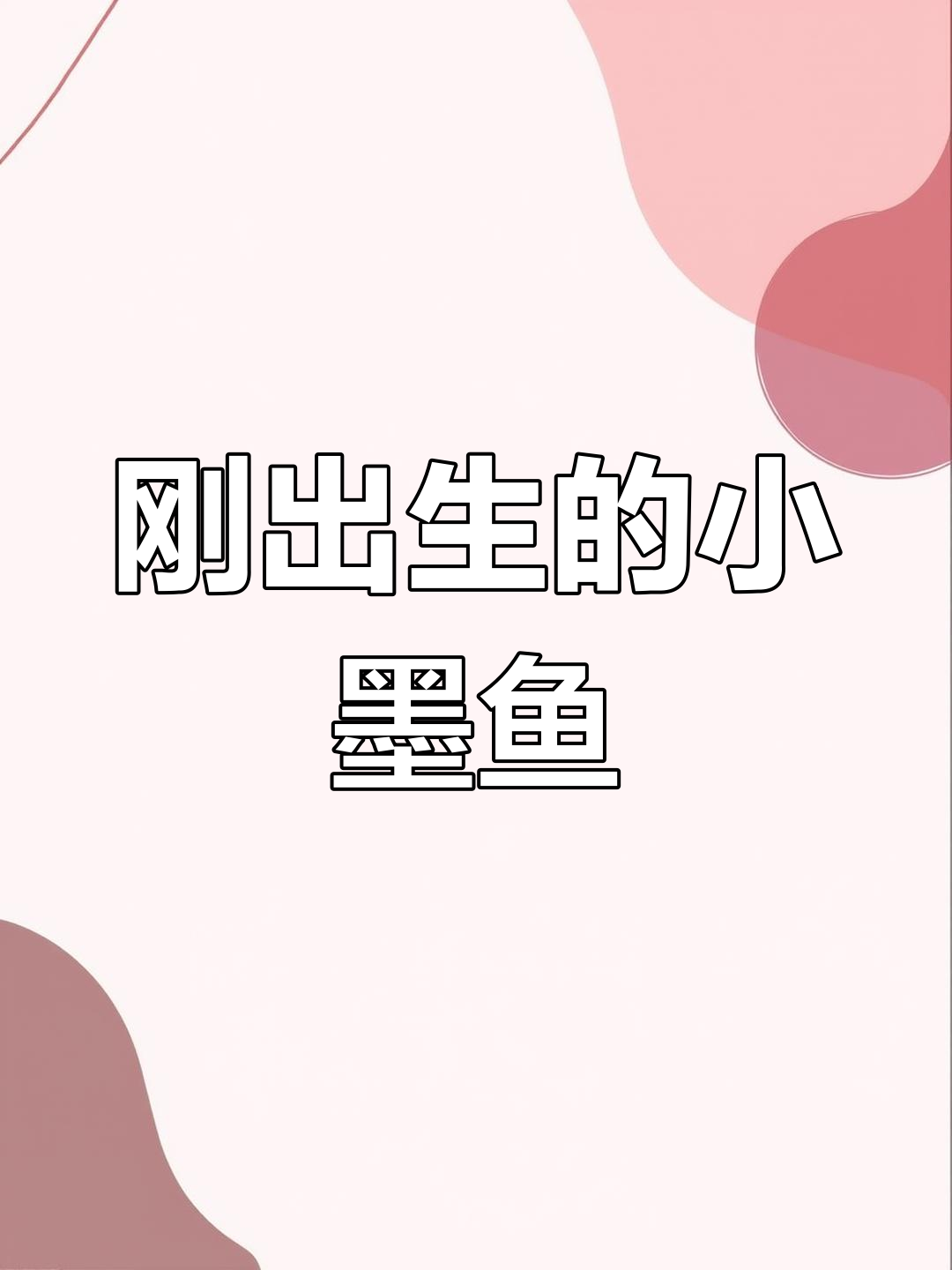 小墨鱼喷墨瞬间,萌态十足