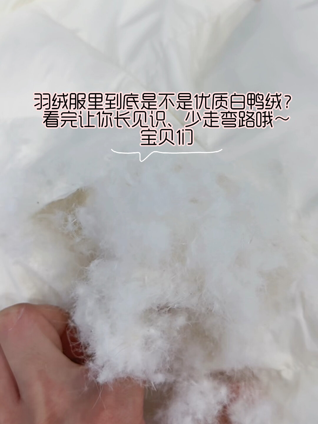 一定要看完哦、带你了解看不到的羽绒～