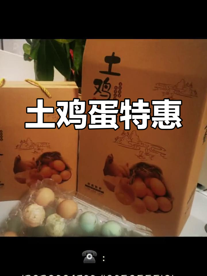 芦花鸡土鸡蛋,25元一斤,礼盒装可选
