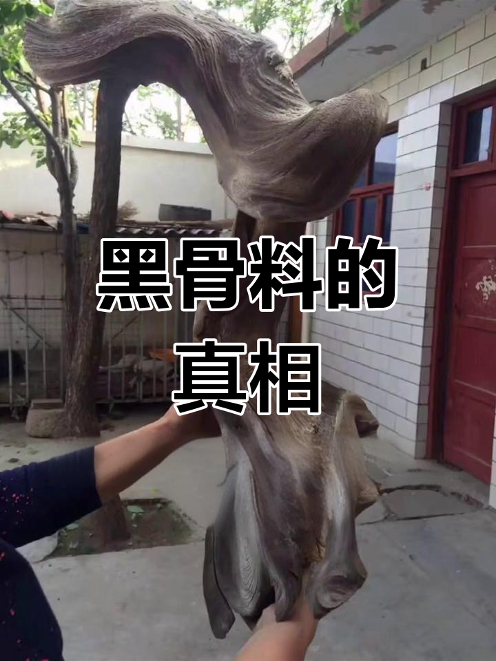什么是崖柏黑骨料?如何辨别真假