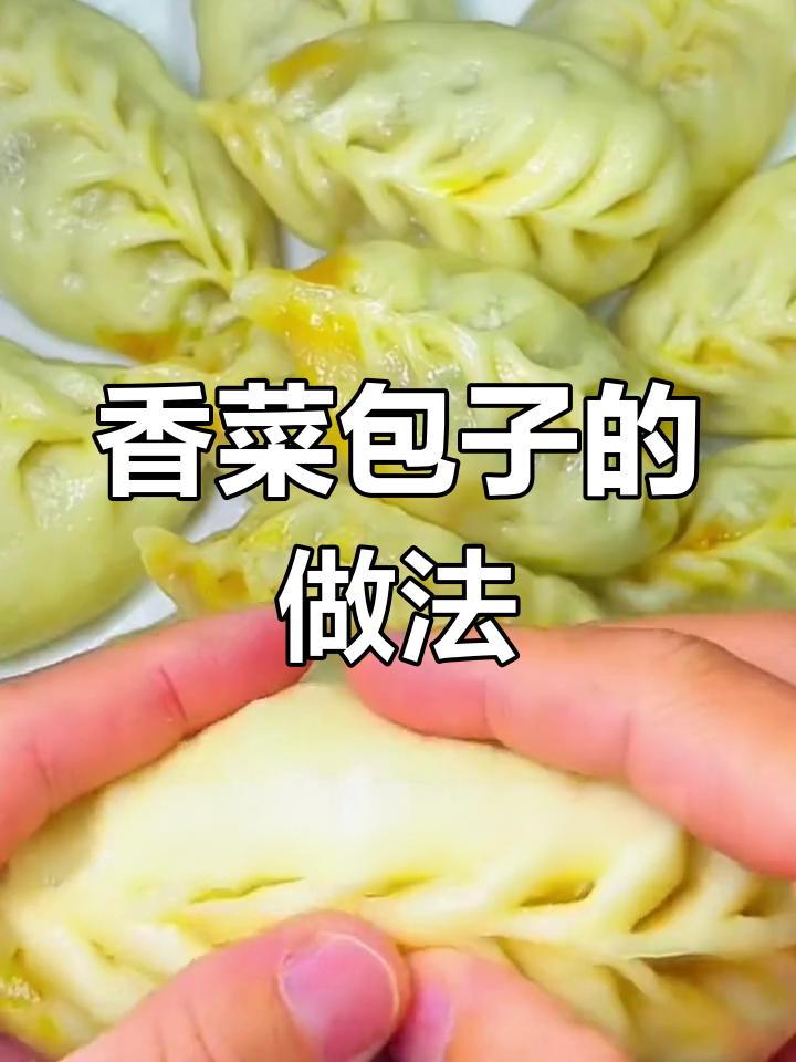 过年必备蒸包子,香菜馅超好吃
