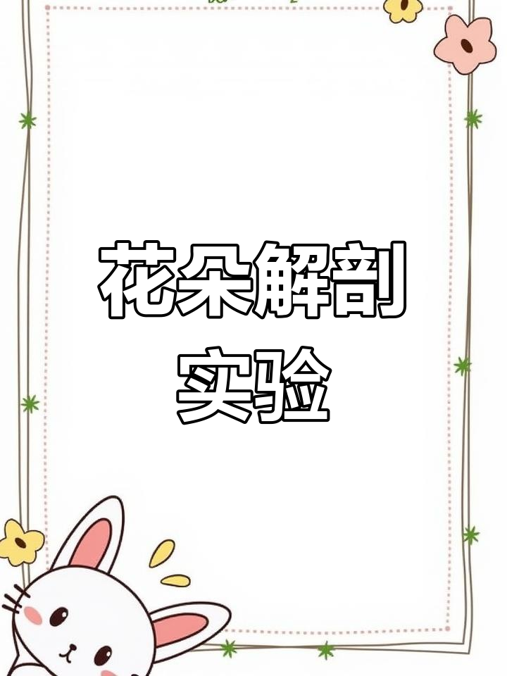 解剖花朵,揭秘花蕊结构与功能