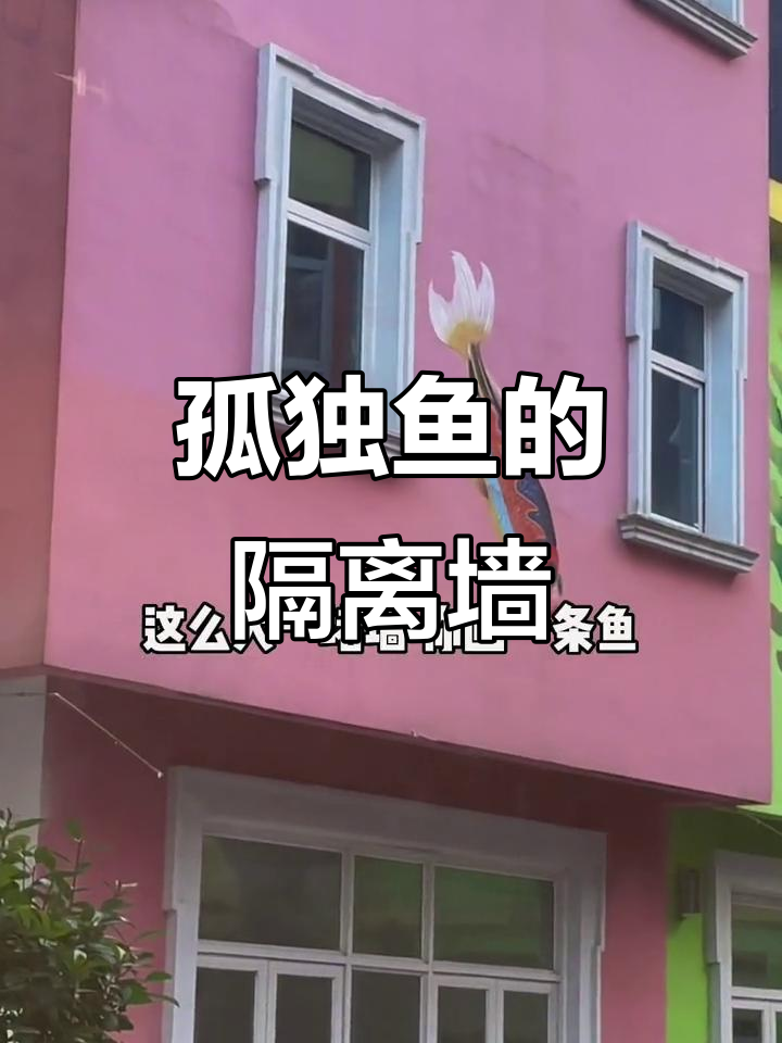隔离点墙画孤单鱼,色彩搭配让人哭笑不得