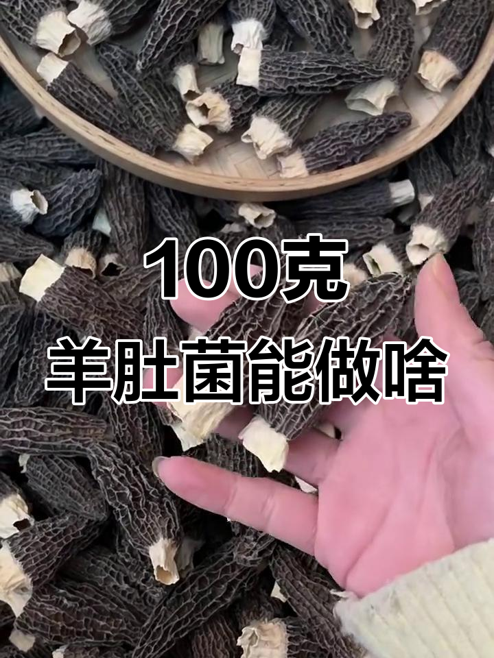 100克羊肚菌能做出多少美味?做法超多,炖汤炒菜都行