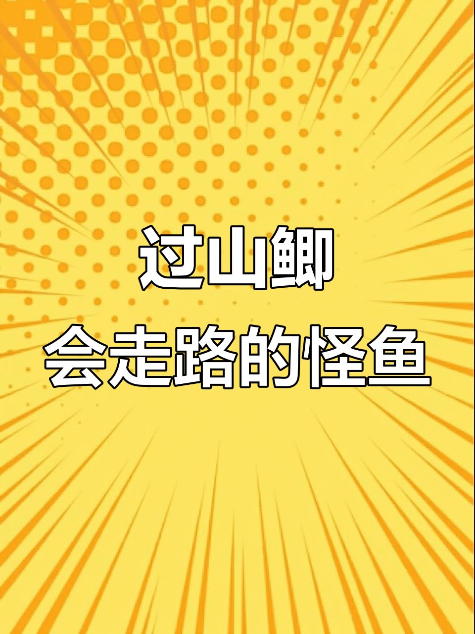 广西怪鱼能走路爬树,为何没人抓来吃?揭秘过山鲫的奇特能力