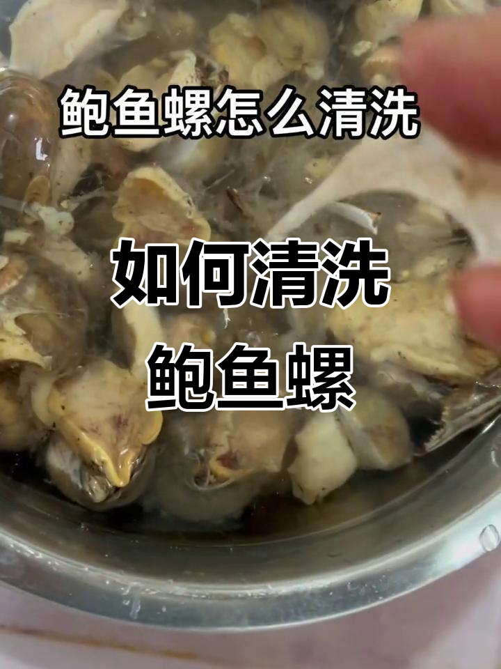 清洗鲍鱼螺的简单方法,轻松去除粘液