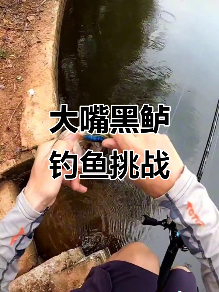 钓大嘴黑鲈的极限操作，牙齿扎手太刺激了！
