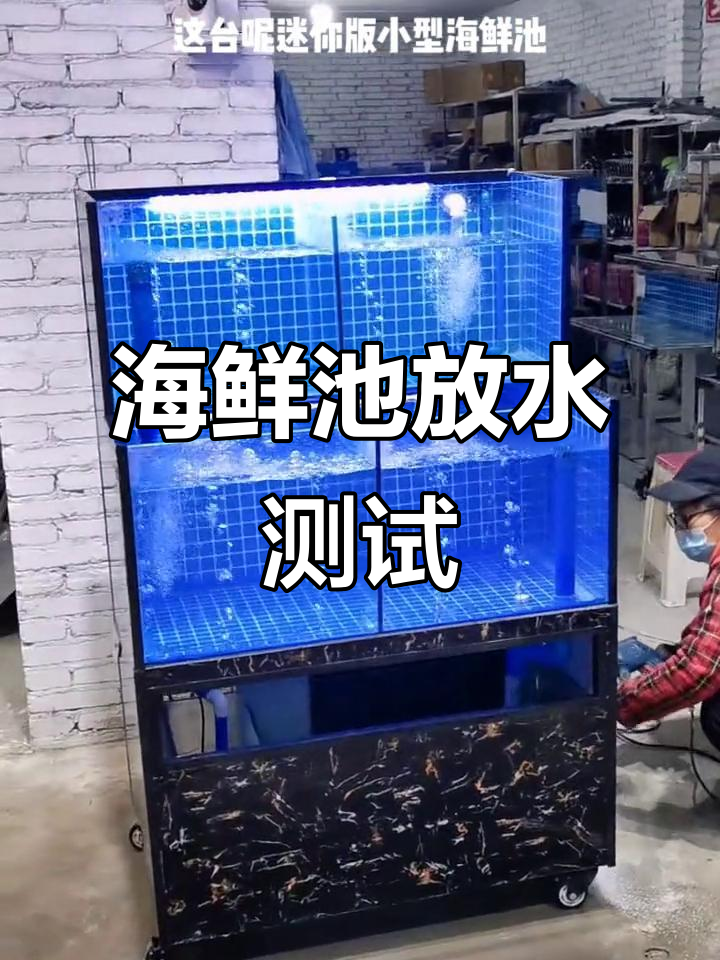 海鲜鱼缸制作与放水测试全过程，异型迷你池效果展示