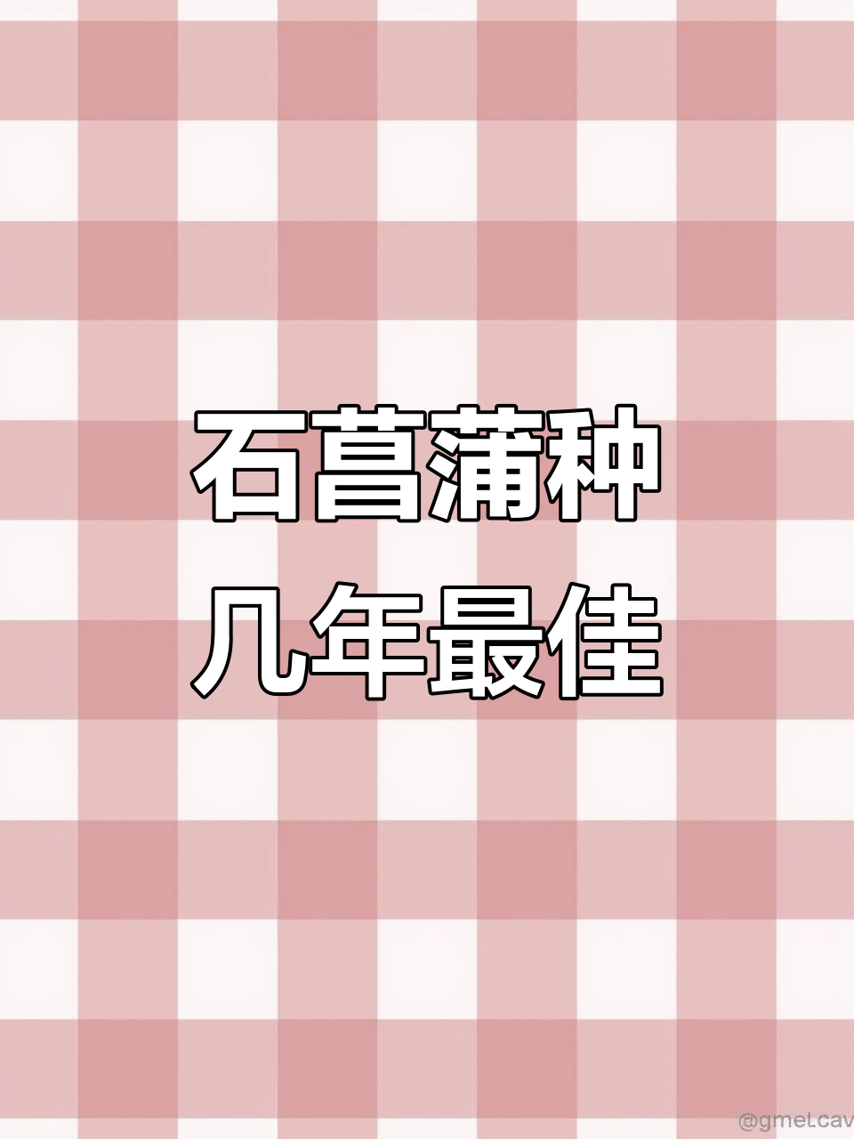 石菖蒲种植周期揭秘,多久收最合适?