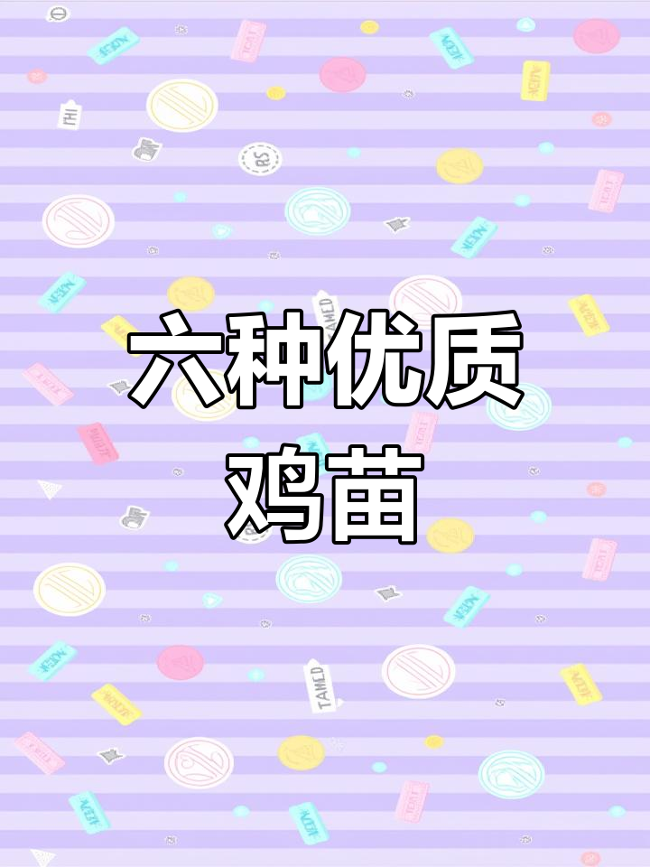 六大特色鸡苗品种,哪个最值得关注?