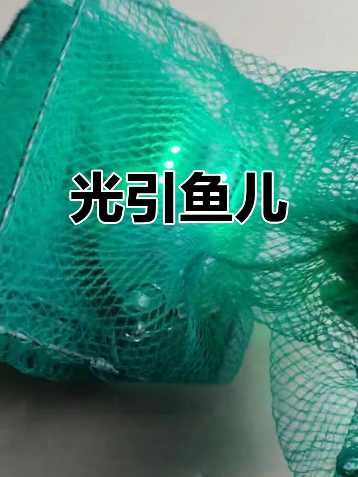 这款诱鱼灯利用光吸引各种鱼类,淡水海鱼都能轻松捕获