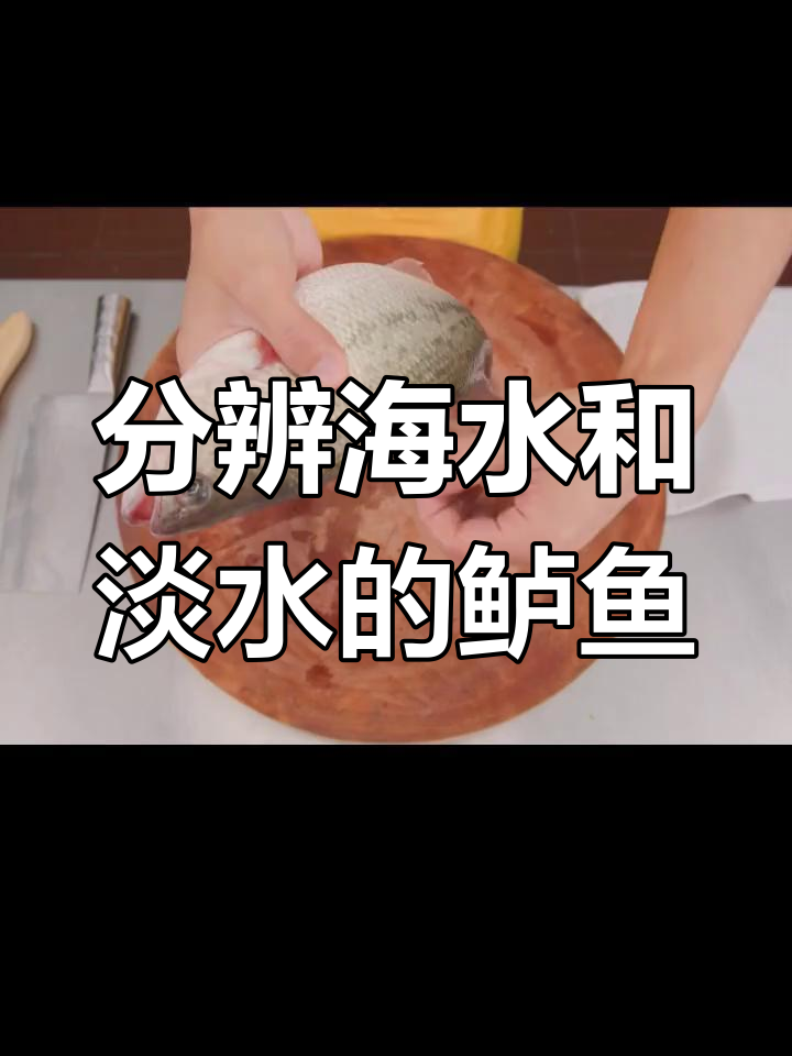 如何区分海水鲈鱼和淡水鲈鱼?学会这些技巧轻松辨别
