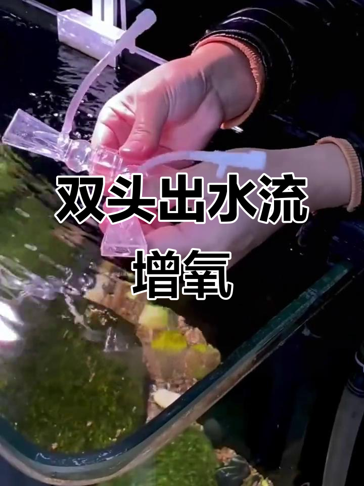 鱼缸双头出水口,轻松增氧不耗电