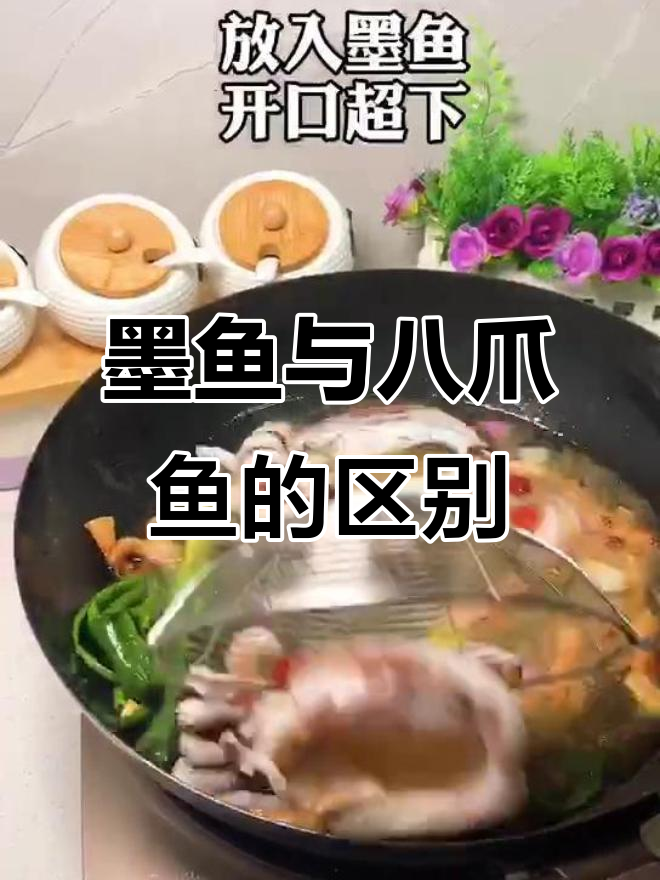 你能分清墨鱼、鱿鱼和章鱼的差别吗?