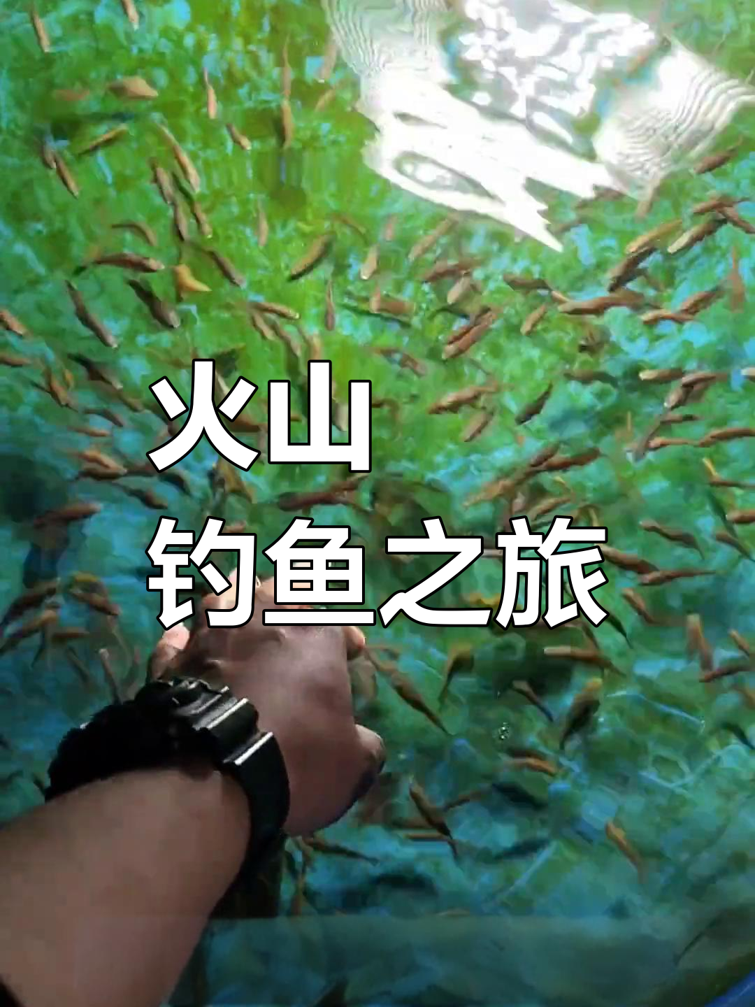 1700公里飞重庆,解锁火山鳑鲏