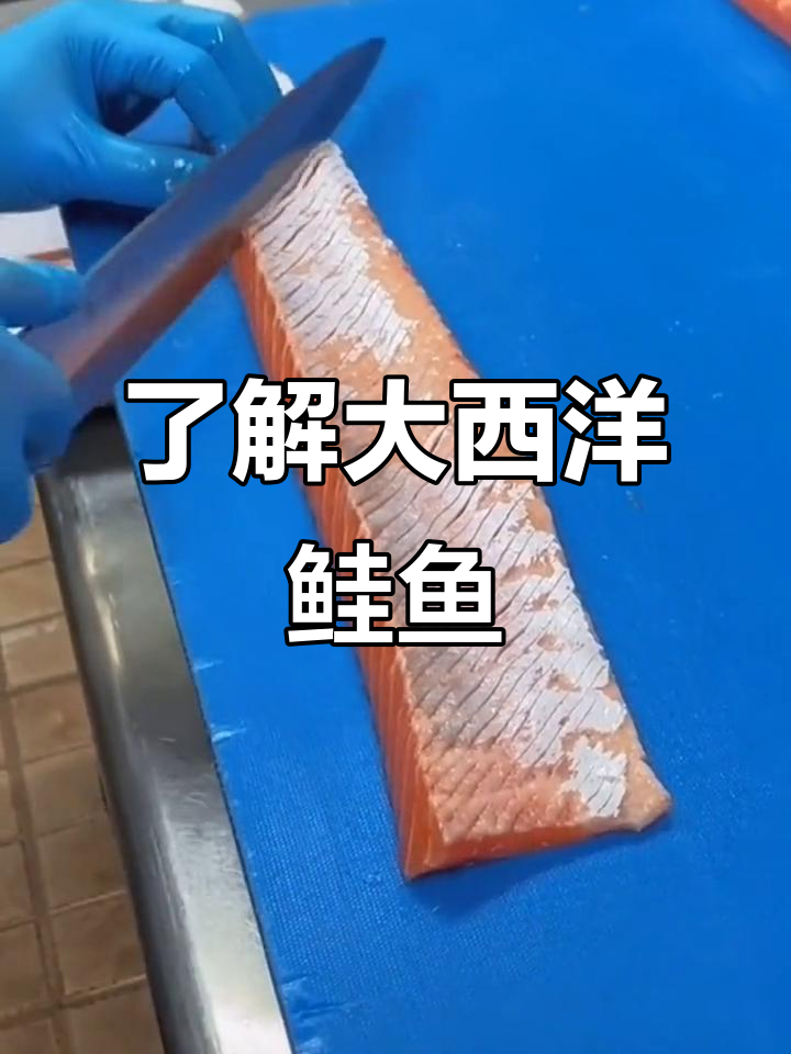 大西洋鲑鱼与虹鳟鱼的真相,新疆海鲜美食等你来探