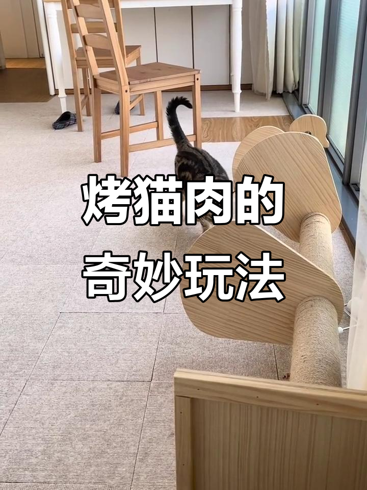 马岩的“神奇”烤猫肉,竟然这样玩爪爪!