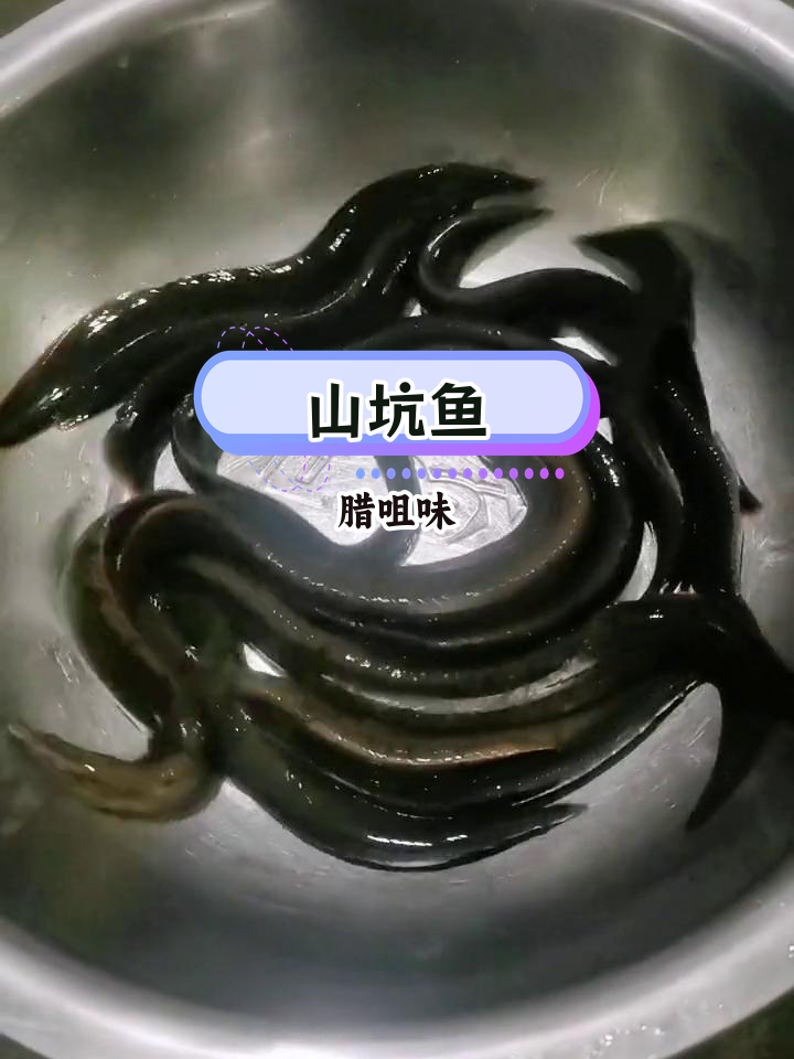 野生山坑鱼,腊咀美味