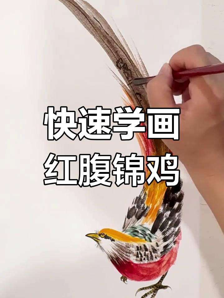 一分钟学会画红腹锦鸡,国画技巧轻松掌握