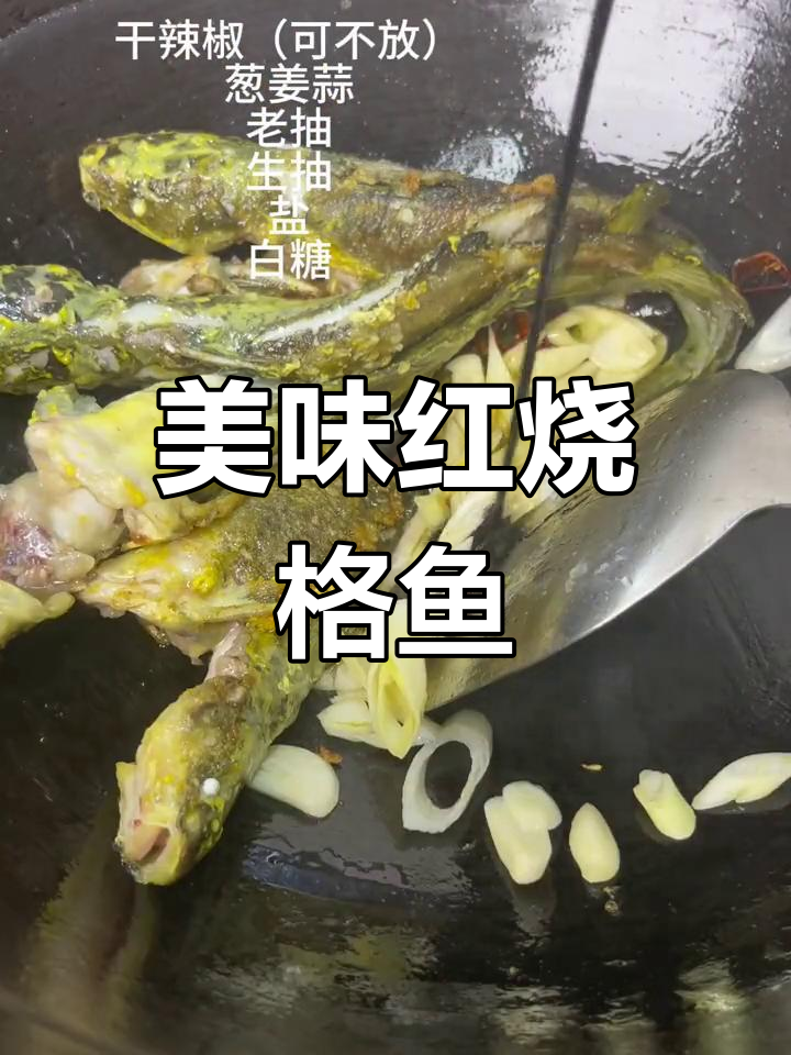 红烧鮥鱼,先煎后炖,肉质鲜嫩刺少
