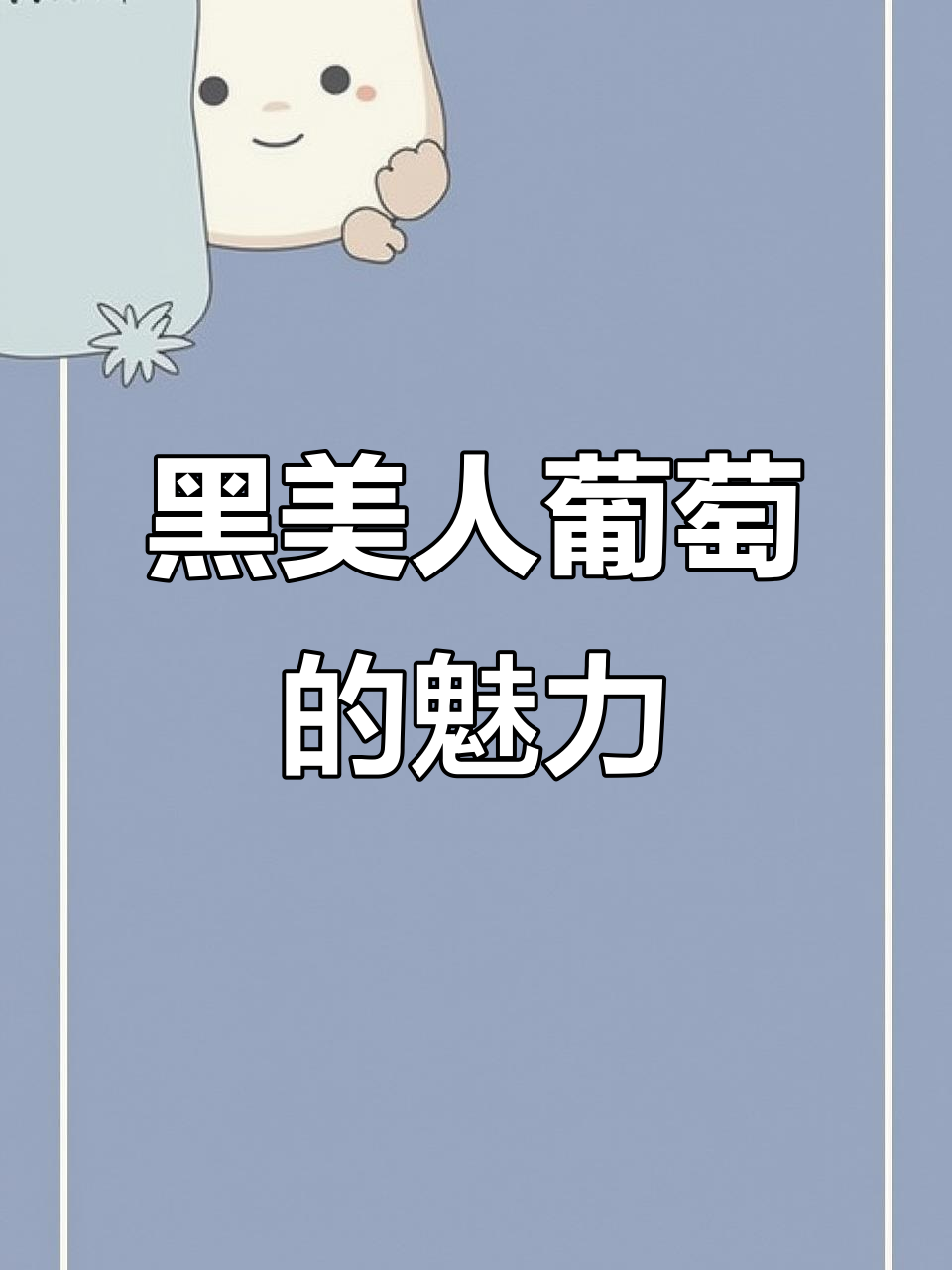 新疆黑美人葡萄:甜度高,果粒大而紧凑