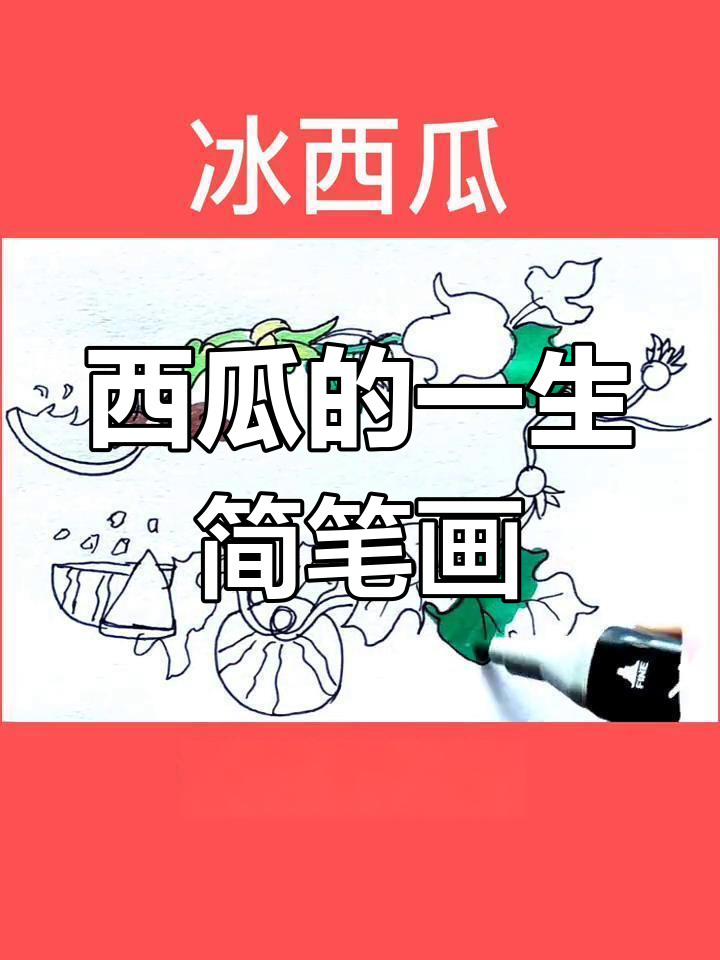 从种子到西瓜,创意画带你一步步见证成长