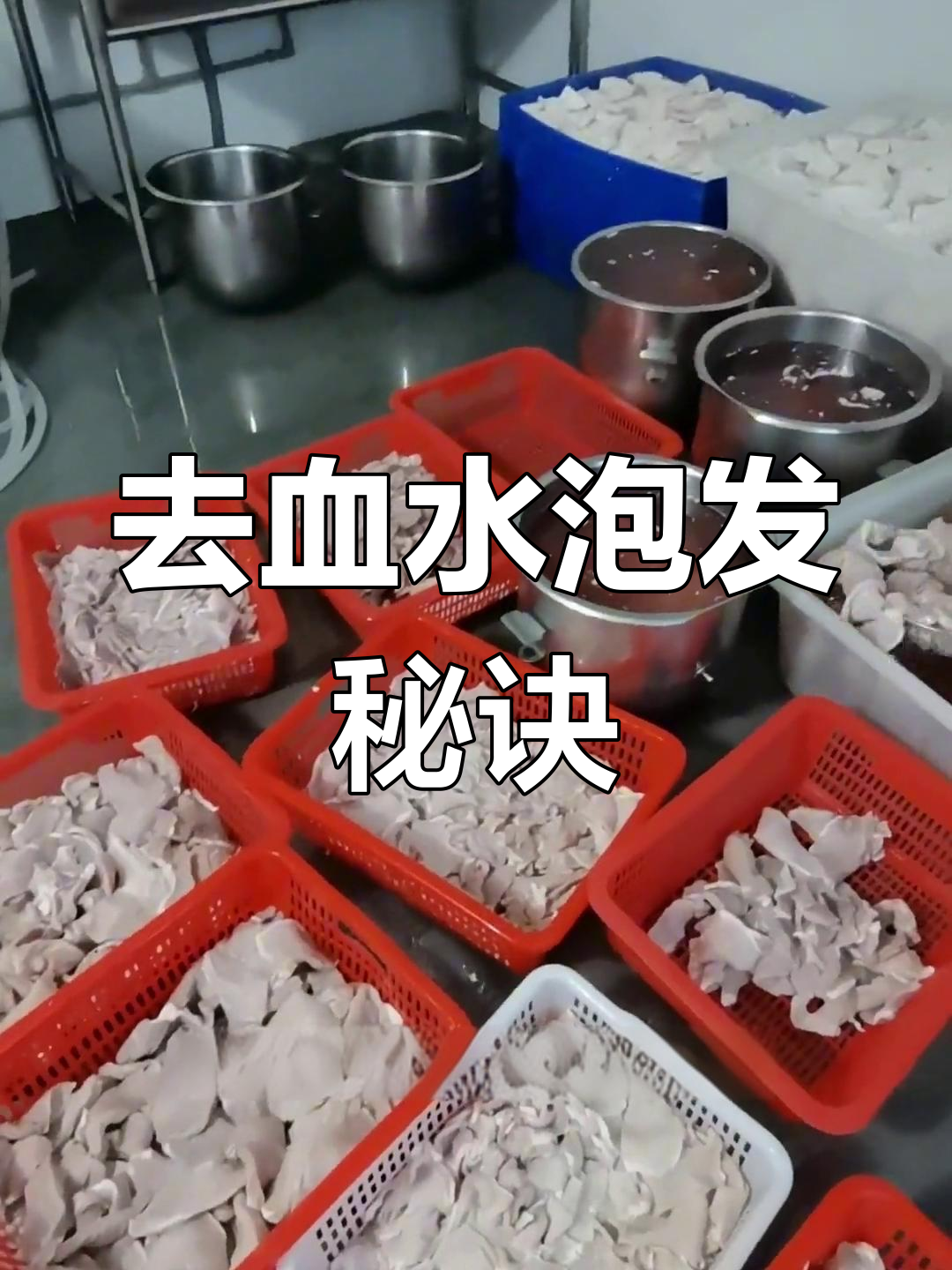 盘龙菜制作的关键步骤:提前泡发去血水,保持肉质纯净