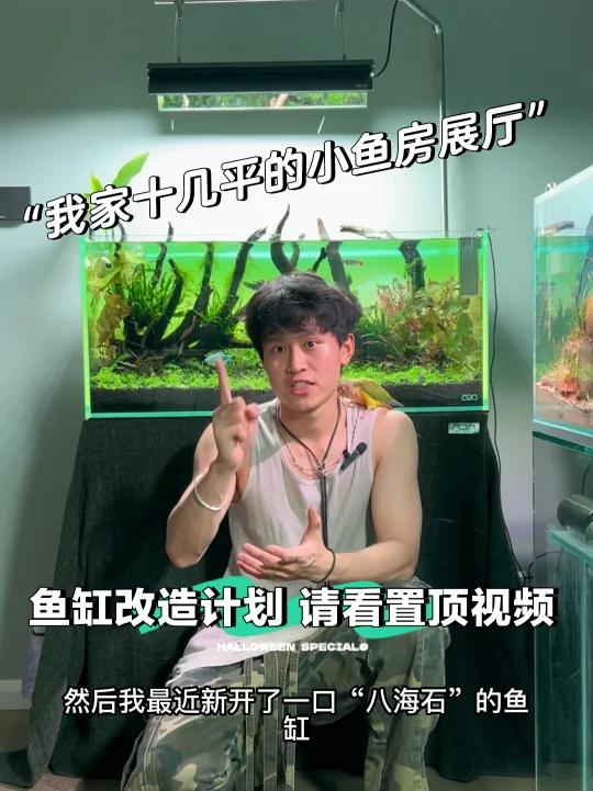 我家水几平的小鱼房展厅改造变化