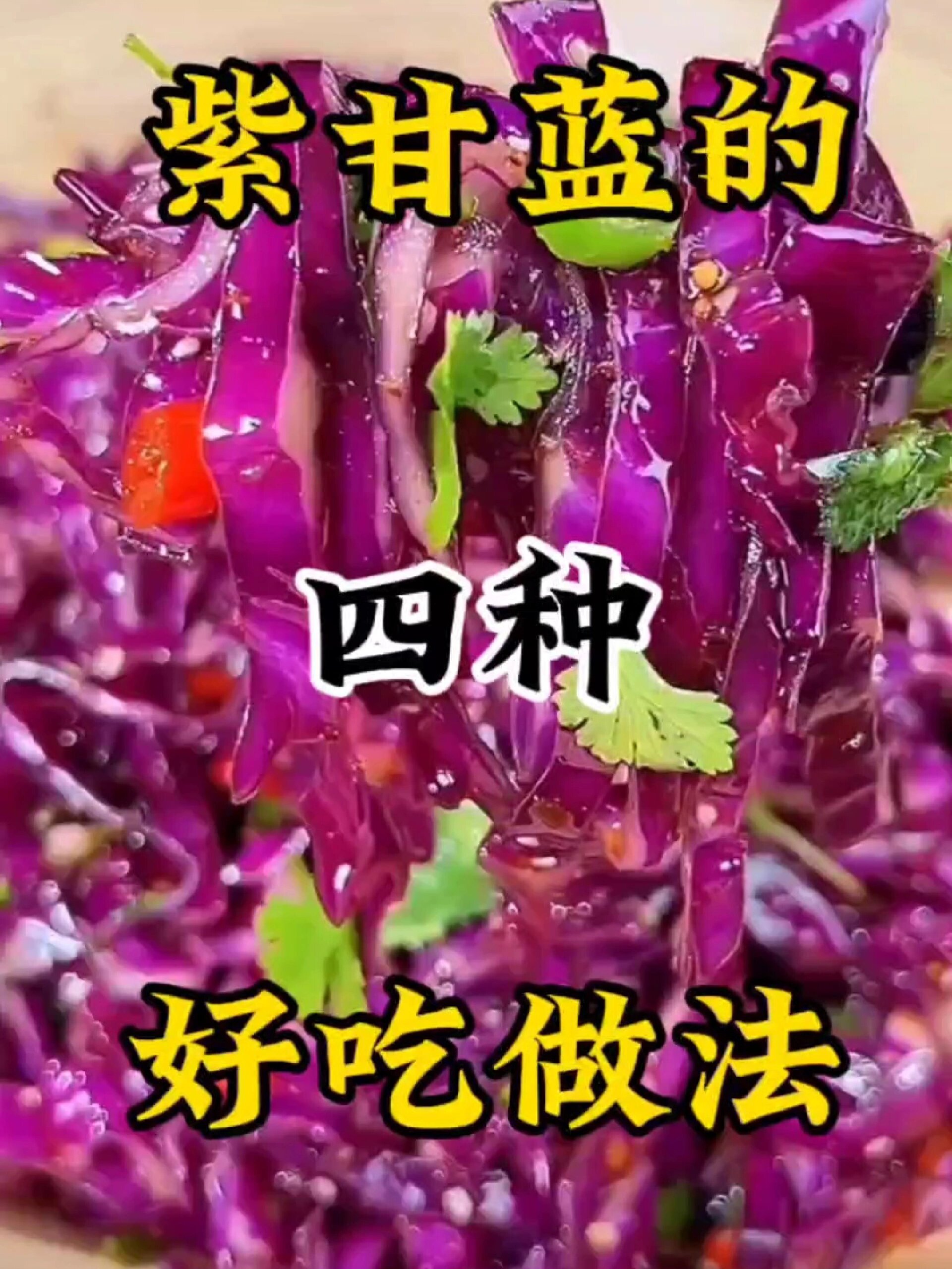 紫甘蓝的做法