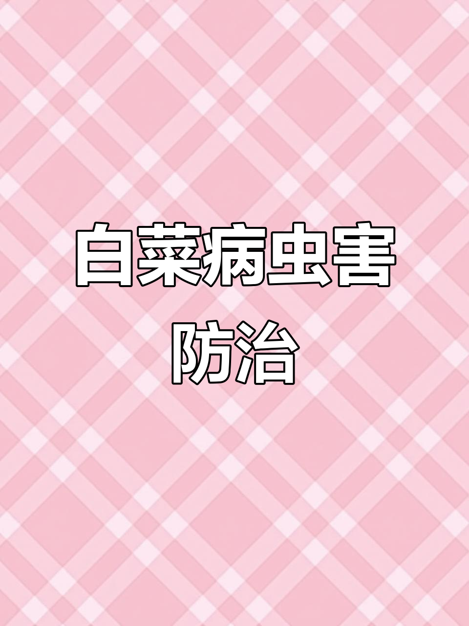 白菜常见病害及防治方法,轻松应对软腐病、白斑病等