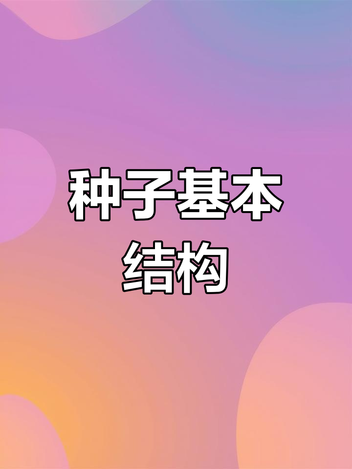 菜豆与玉米种子的结构解析